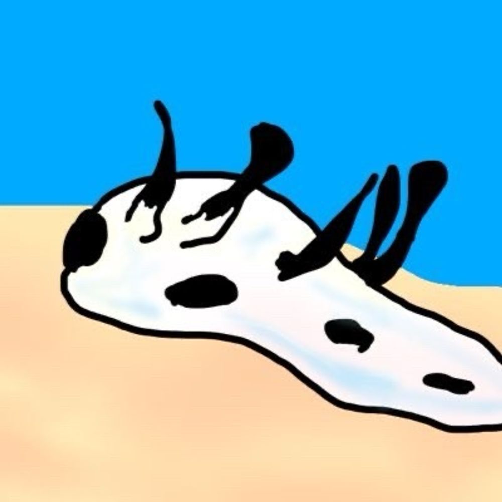 このきのこる