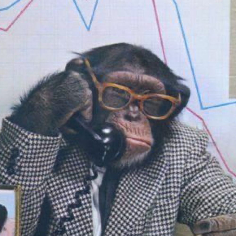 Primate