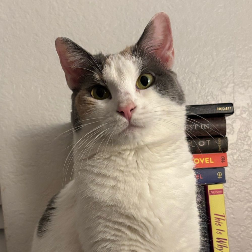 Dani