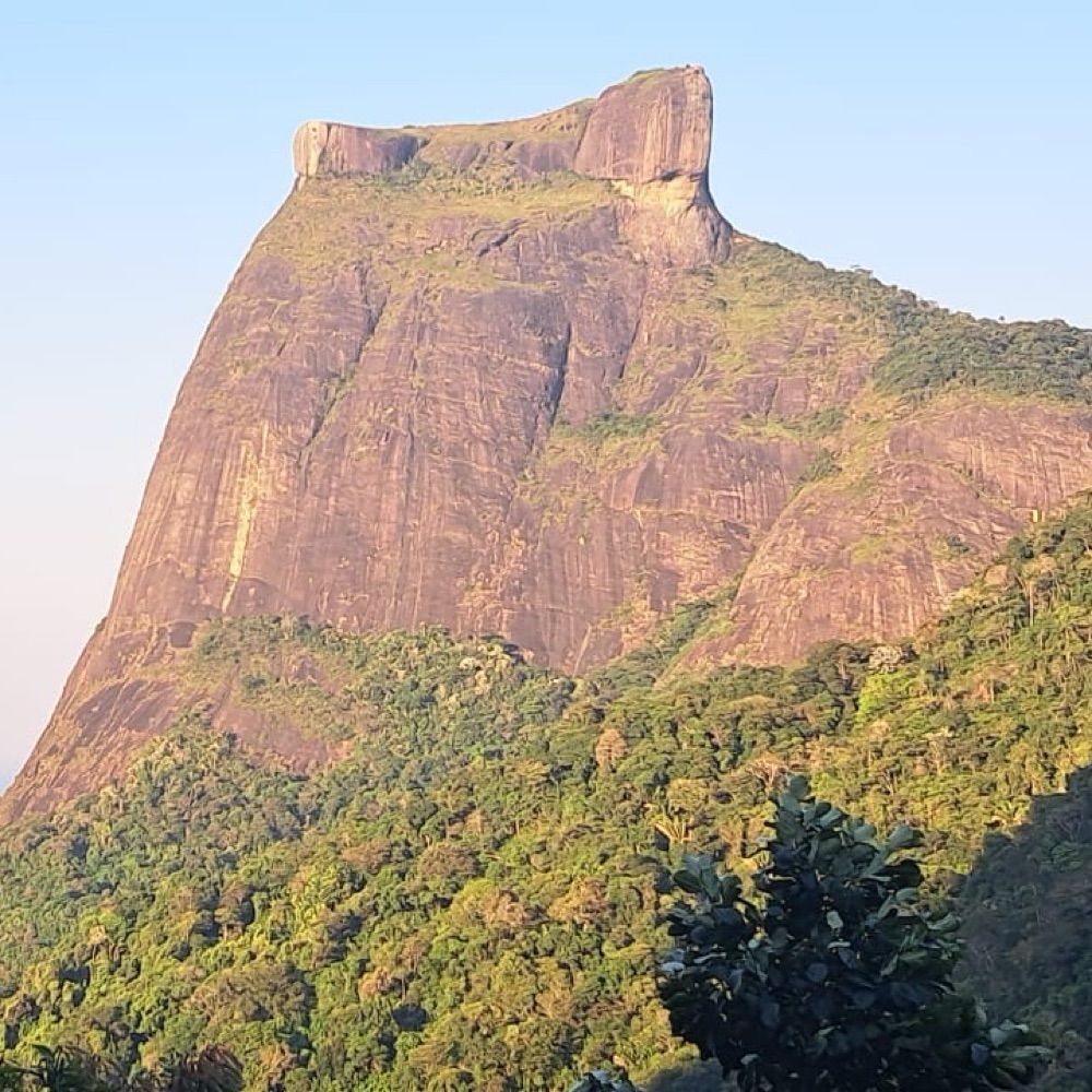 LMourão