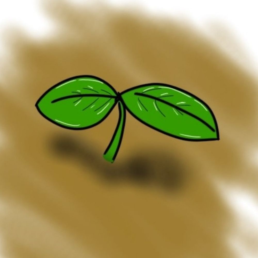 狂々狂林（くるくるくるりん）