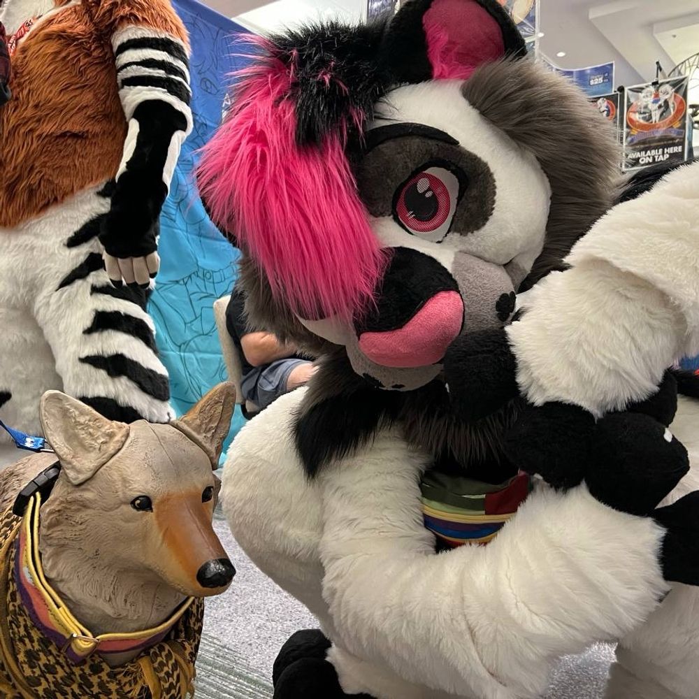 LeoSabertooth 🔜 PDFC