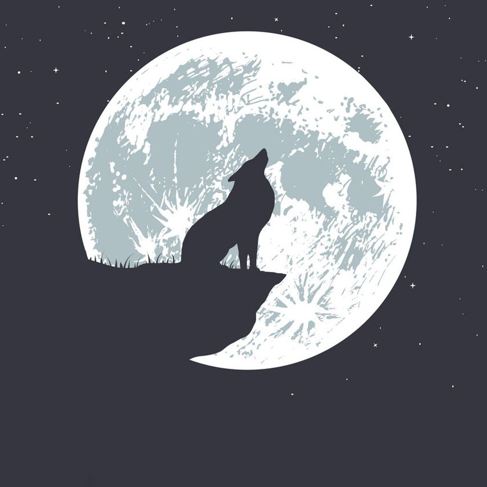 blagamocker.bsky.social profile picture