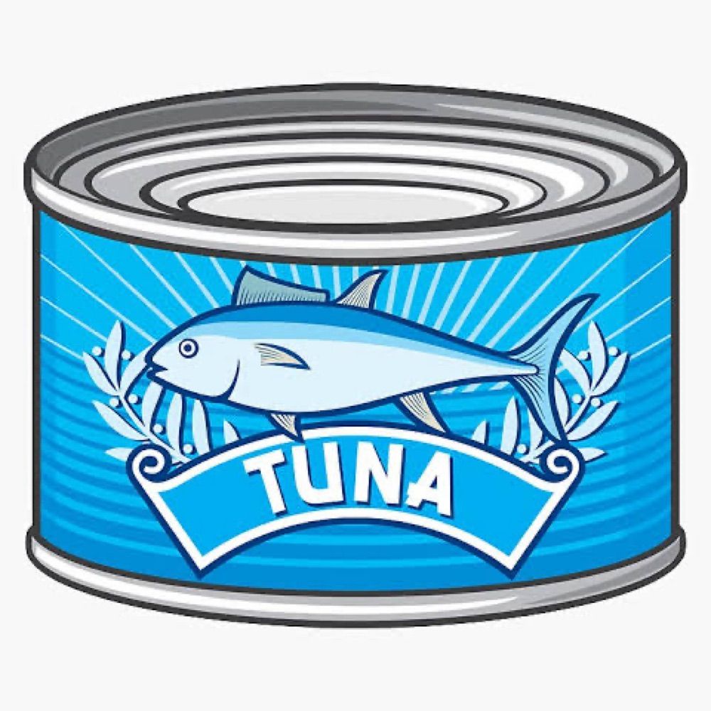 🐟 🐟 🐟