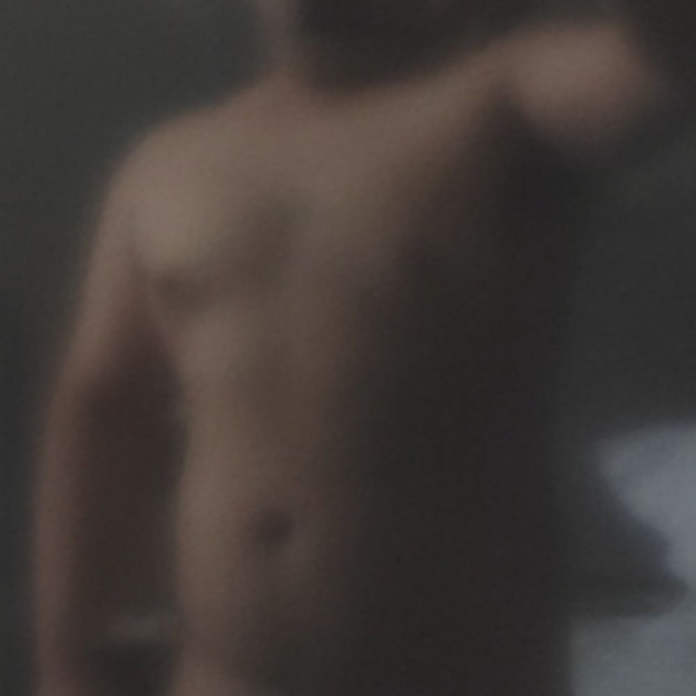 一只熊一
