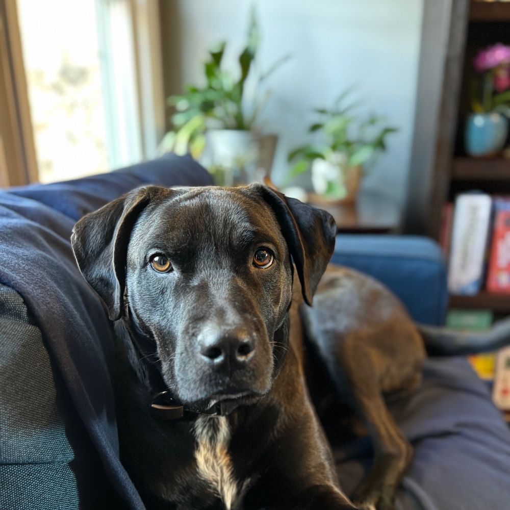 Casey
