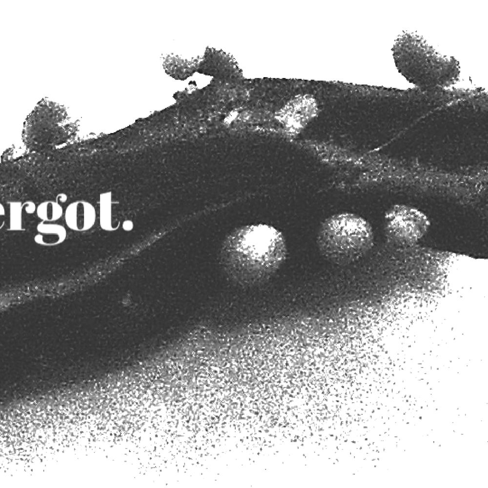 ergot.