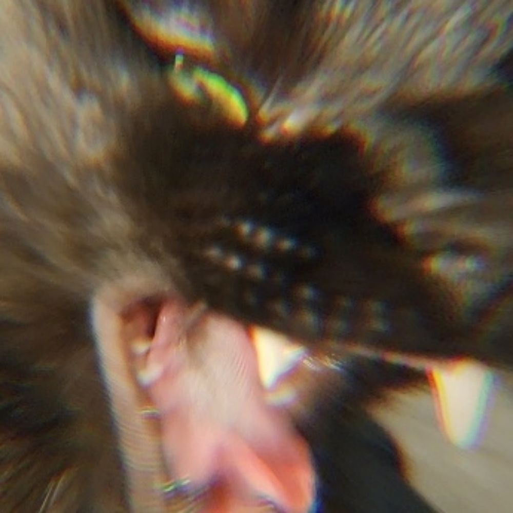 fiansolo