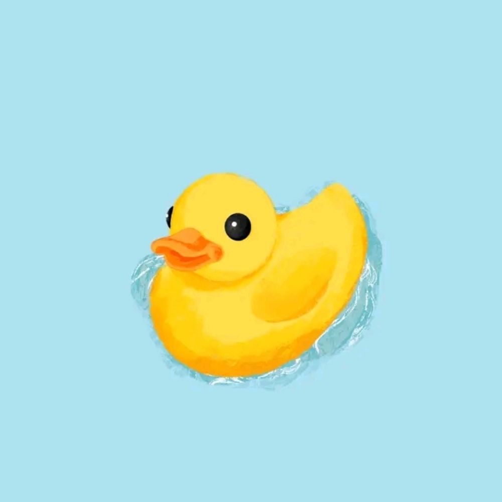 Quackity Updates 