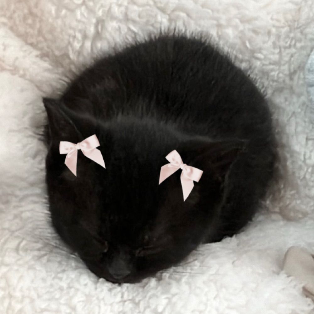 georgie 🎀