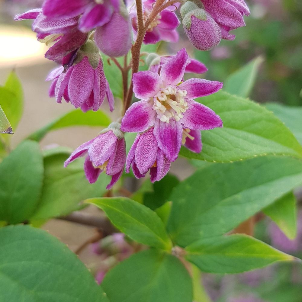 Naturliebhaberin