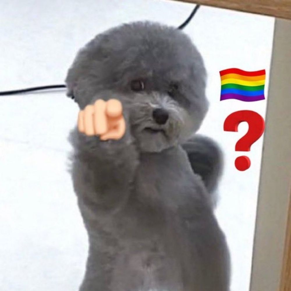 Lil gay boi