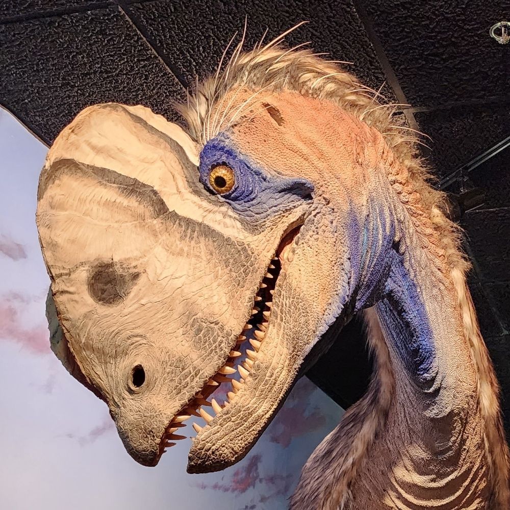 🦕Spino_Rex123🦖