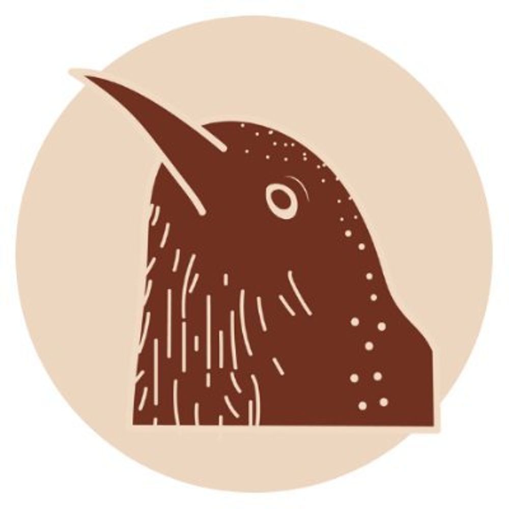 The Wren News