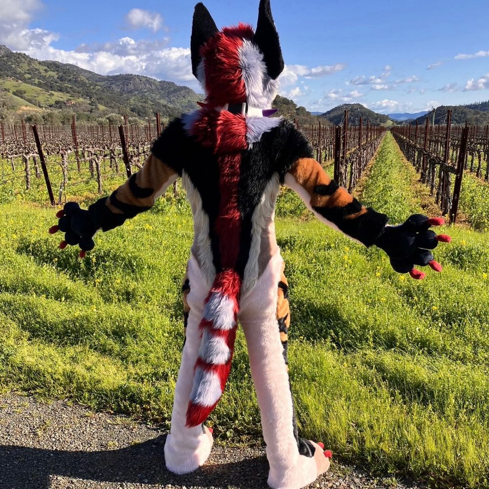 Seventh Moon Coyote 