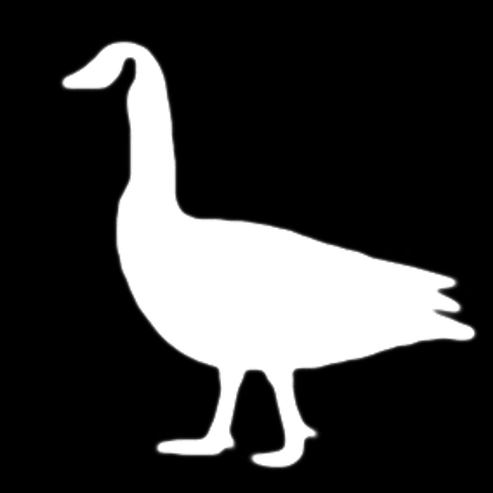 Gooseneck