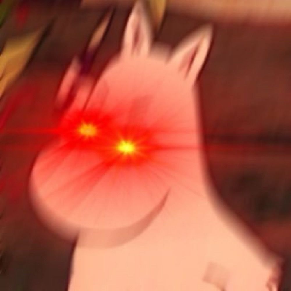 박숑궤