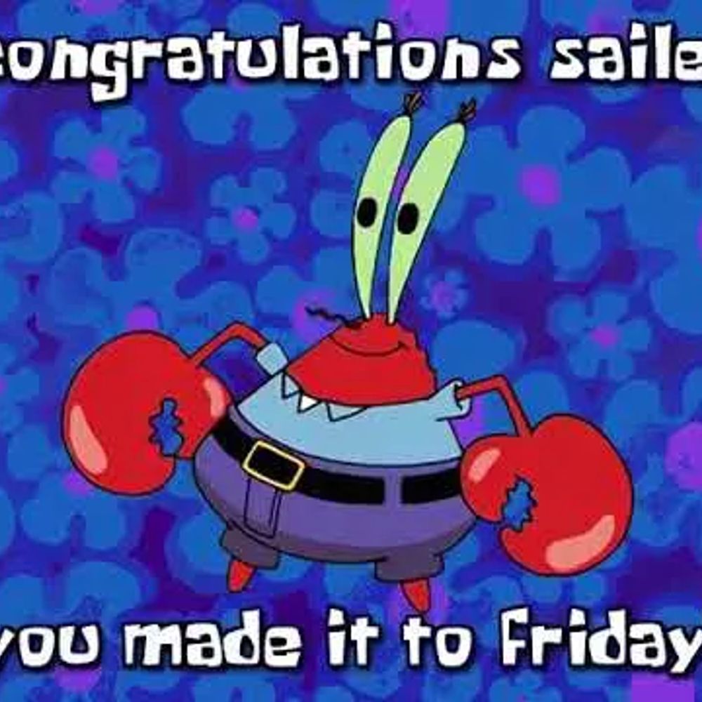 Congratulations Sailer