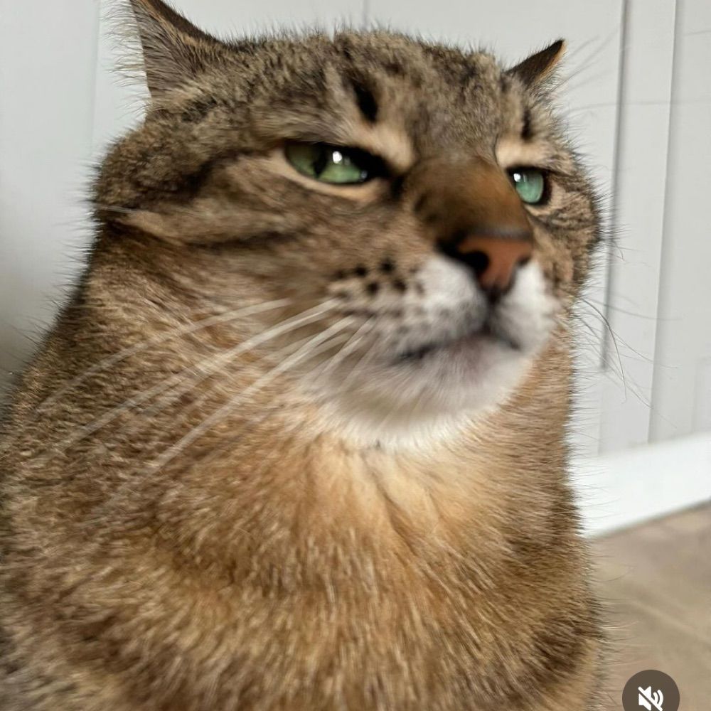 Robert