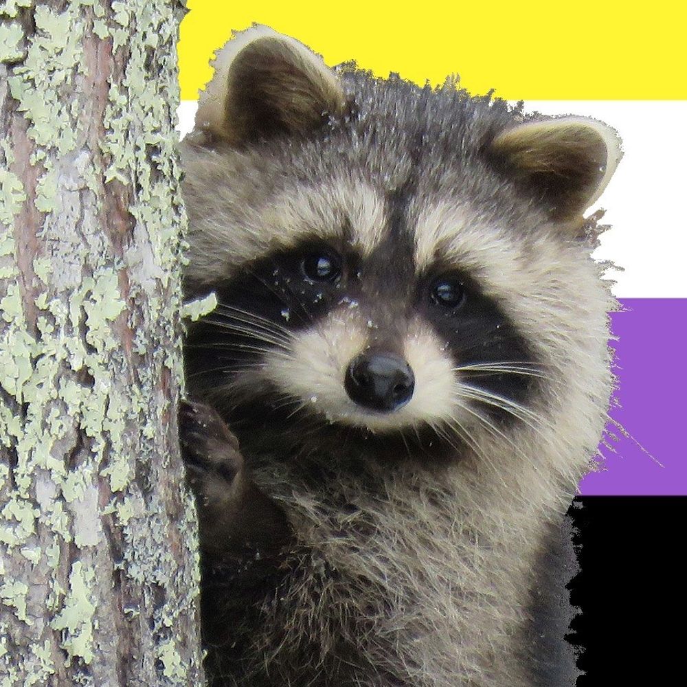 Kaimar