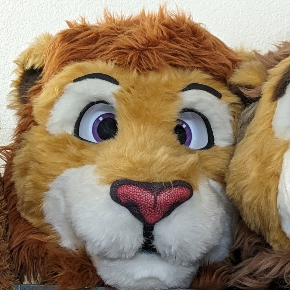 QB🦁