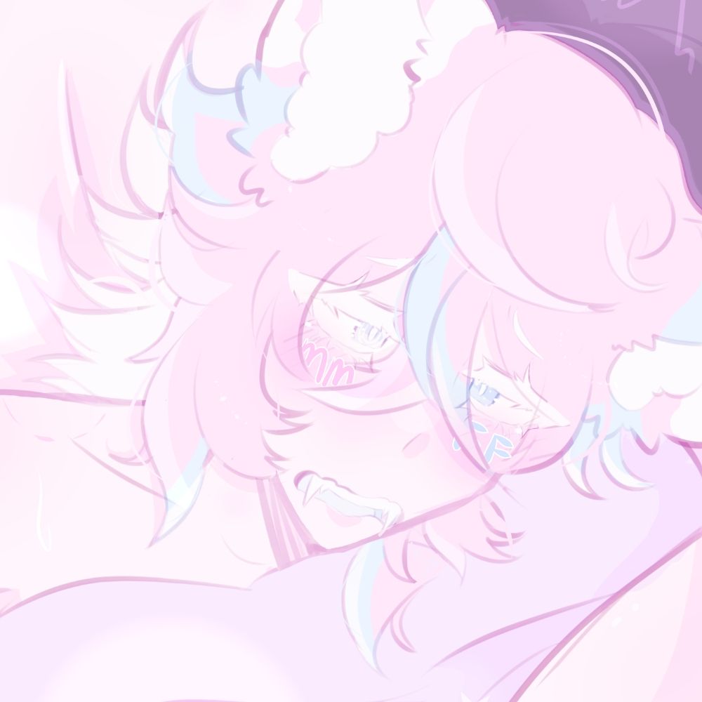 purr 🎀🤍