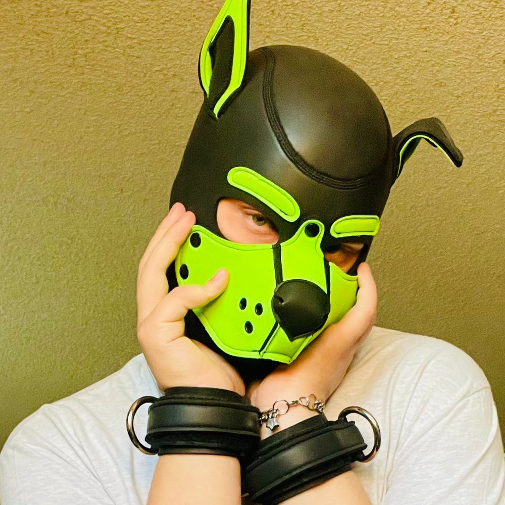 Pup Hollow 🐶
