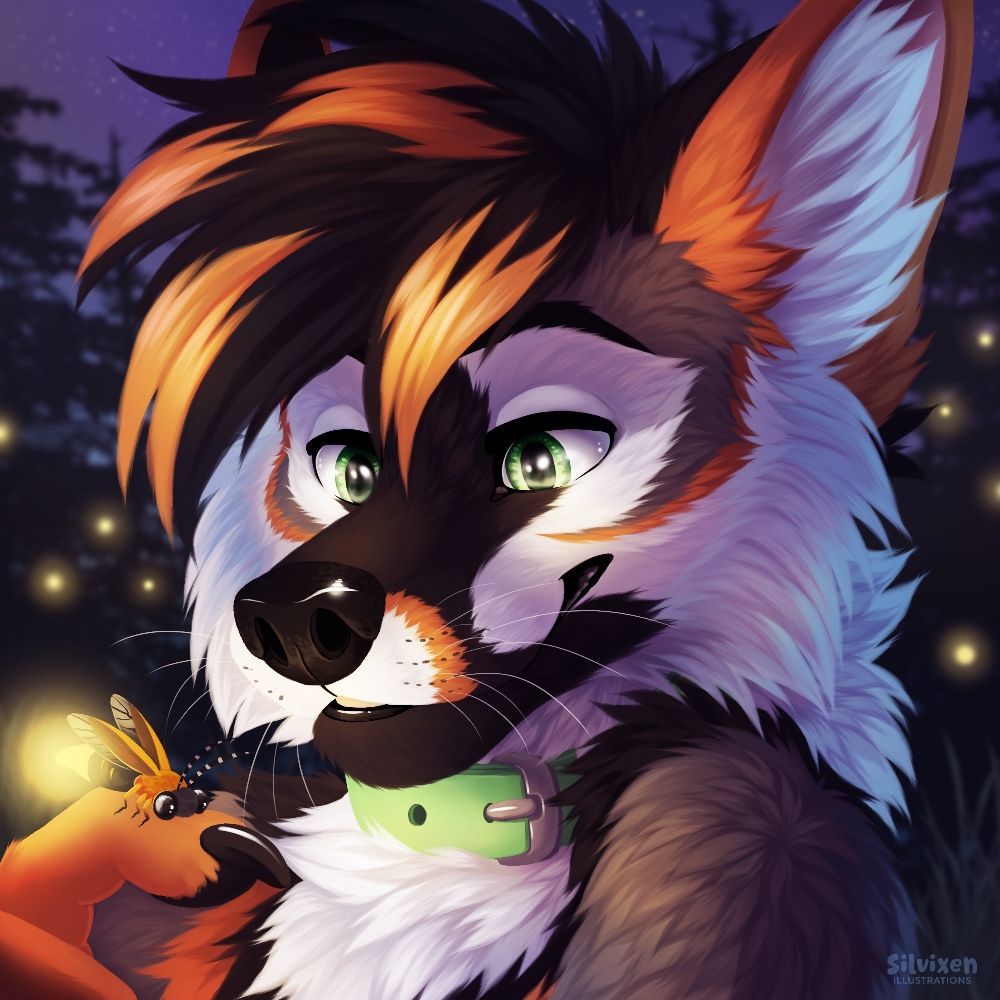 BentleytheFusky
