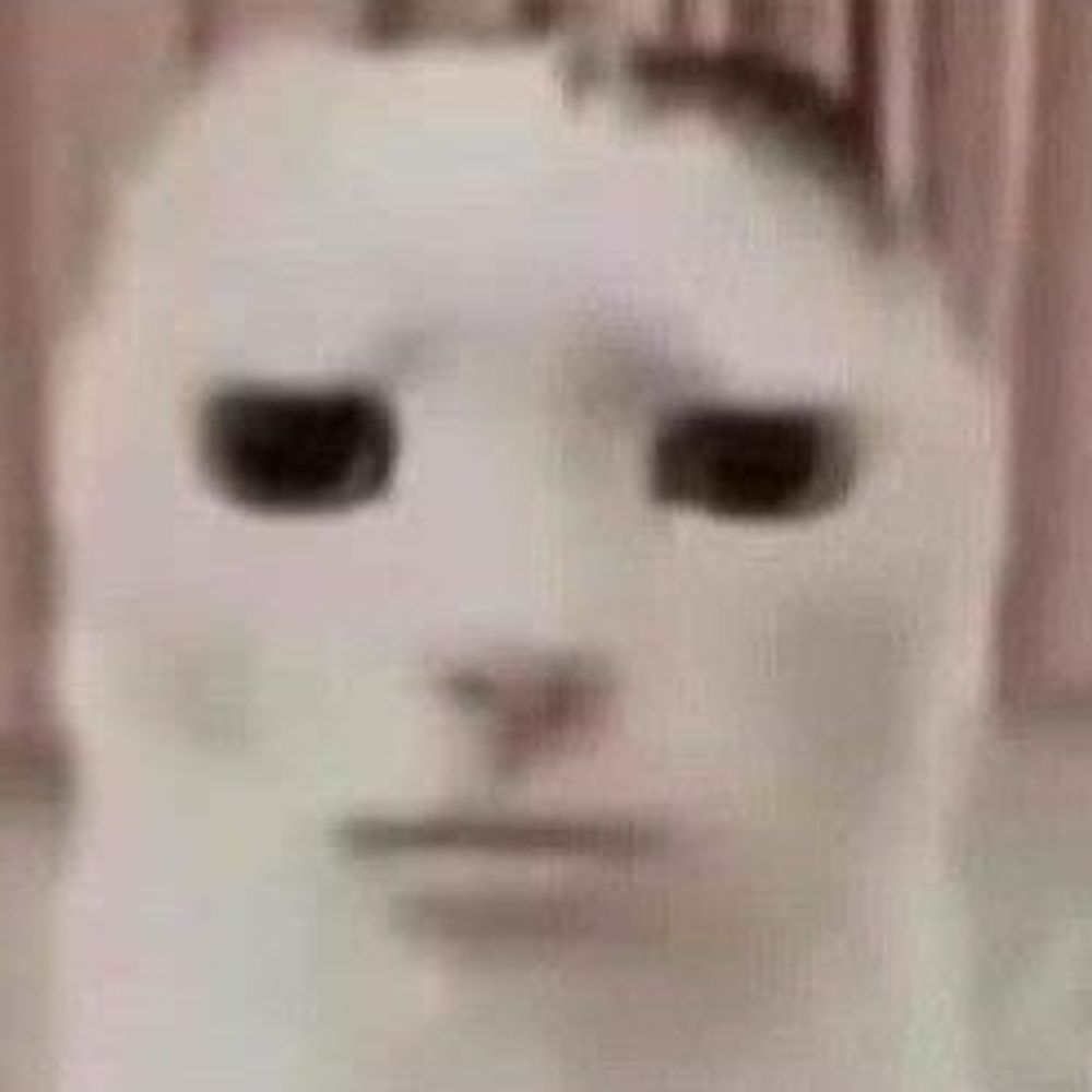 블친소)블스는 왜 비계가 없음