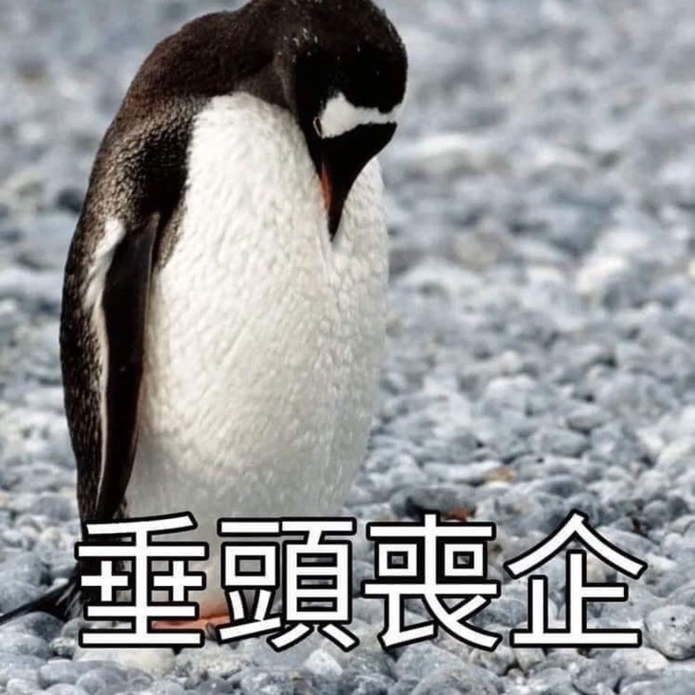 🐧
