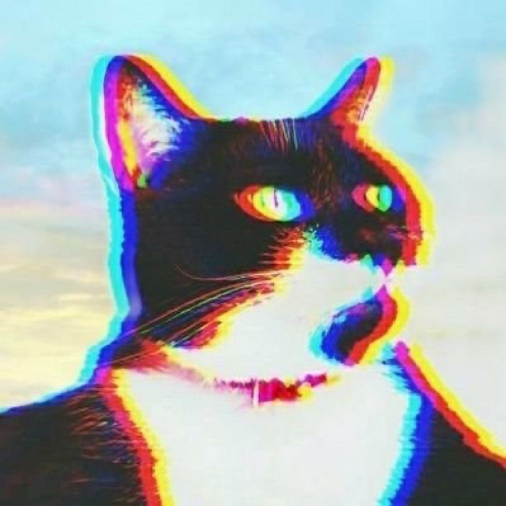 依