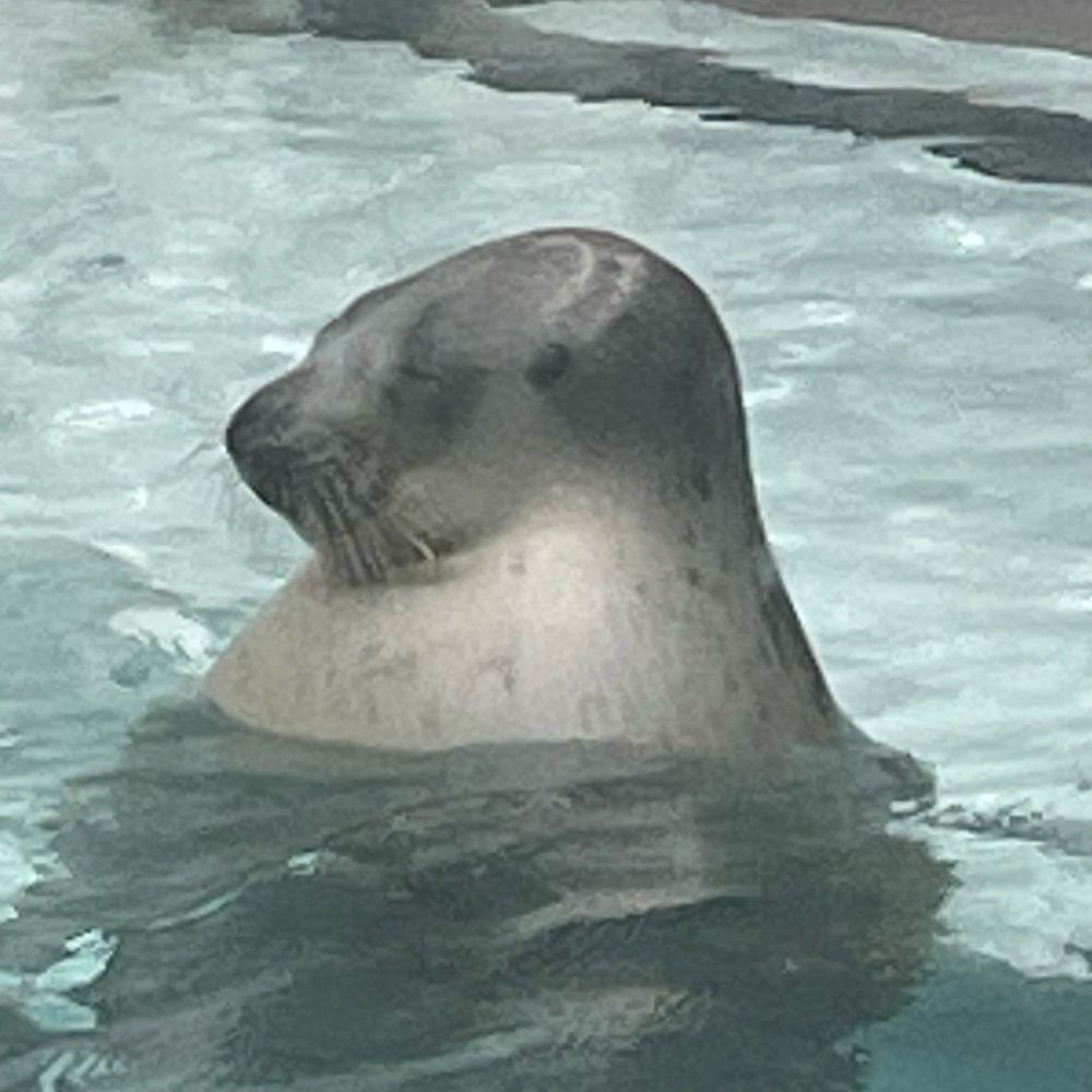 ムラクモ