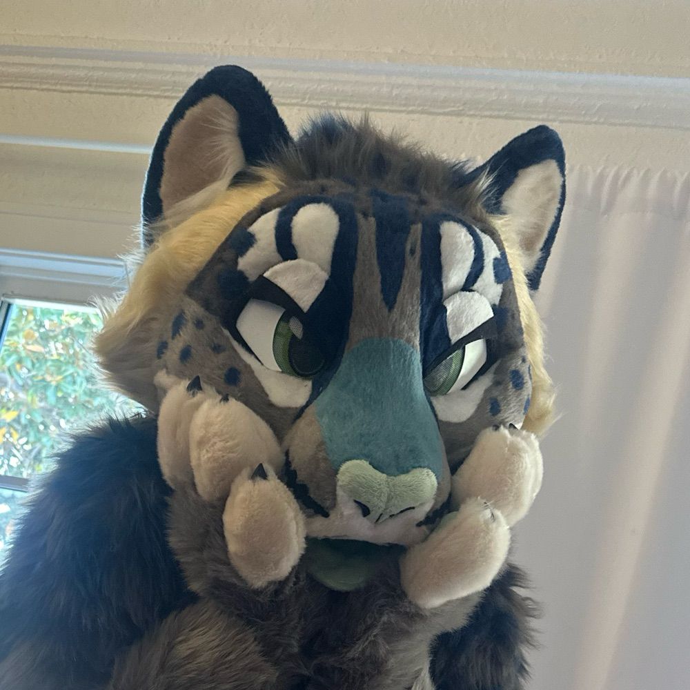 pretty kitty