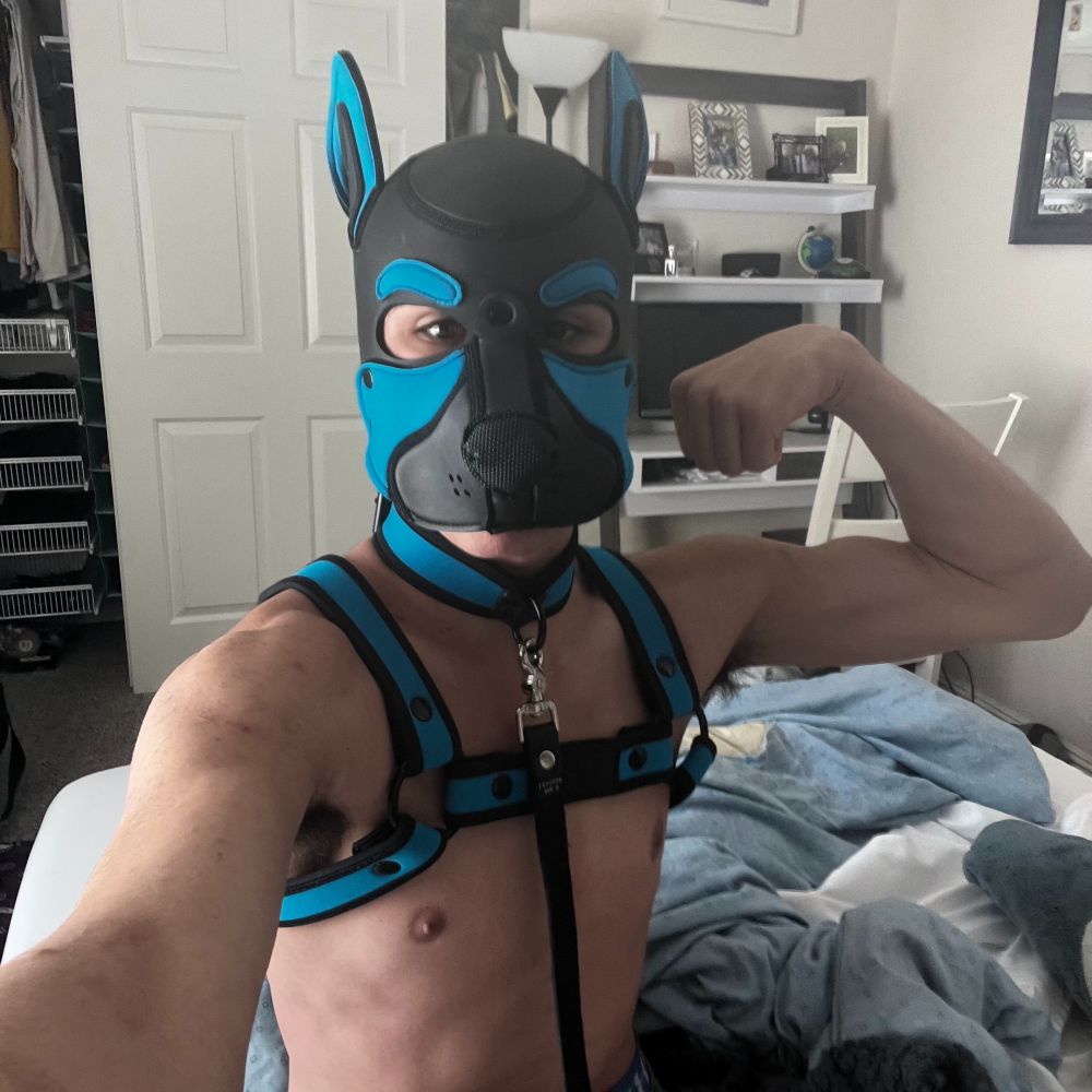 Pup Lux