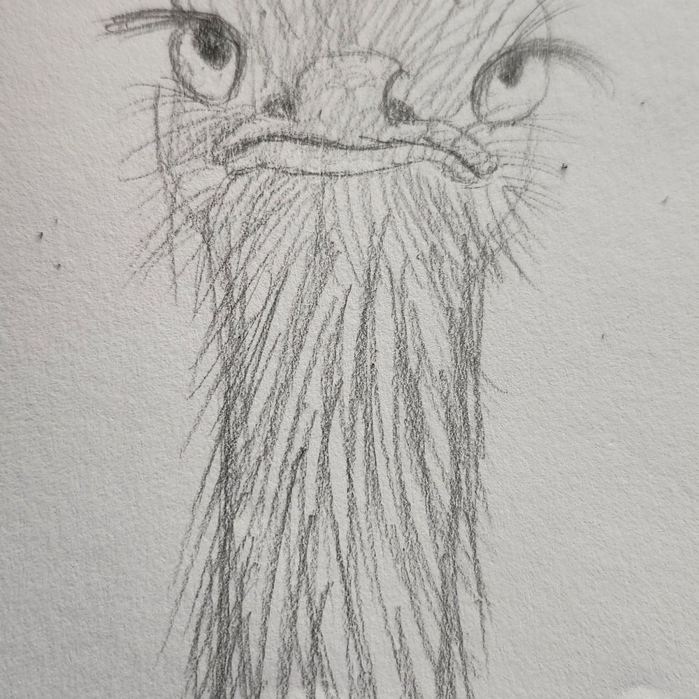 Xenobird