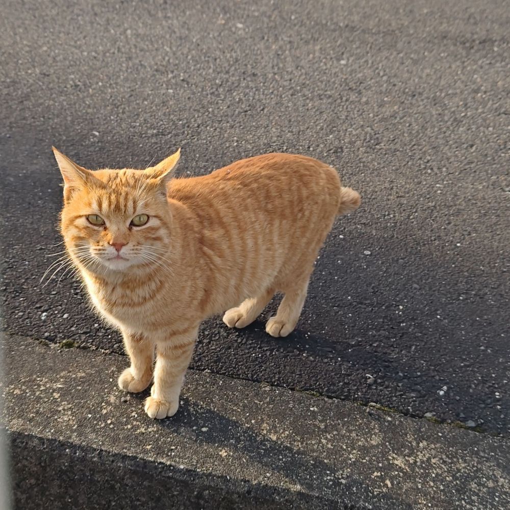 眞紘