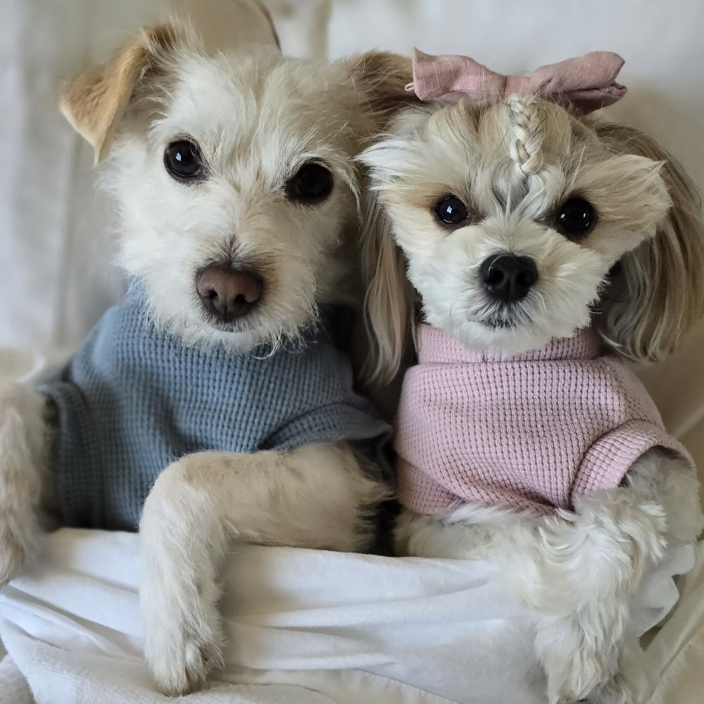 Peake Pups