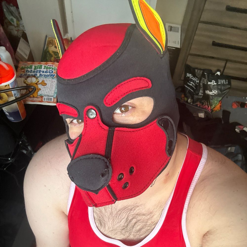 Pup Spice