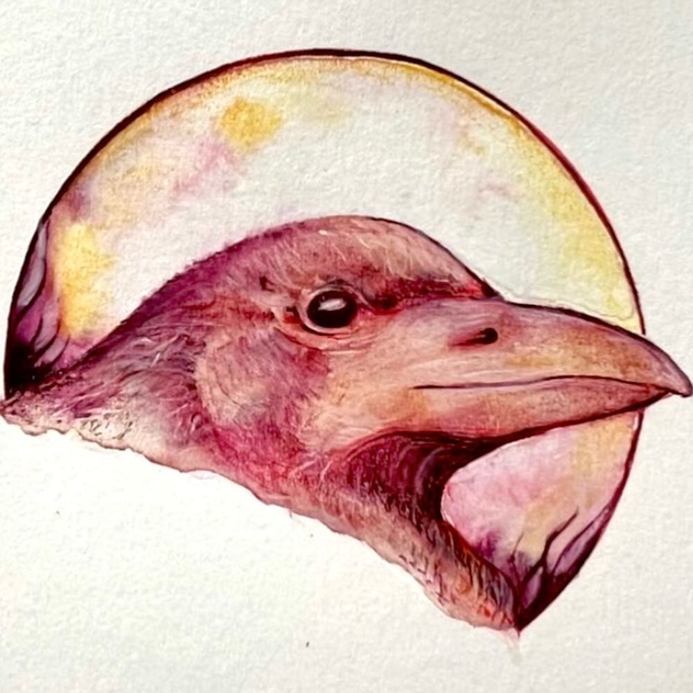 One Red Crow