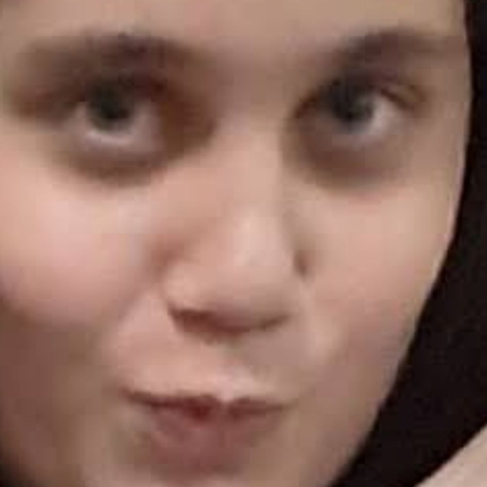 Fisuritaloca