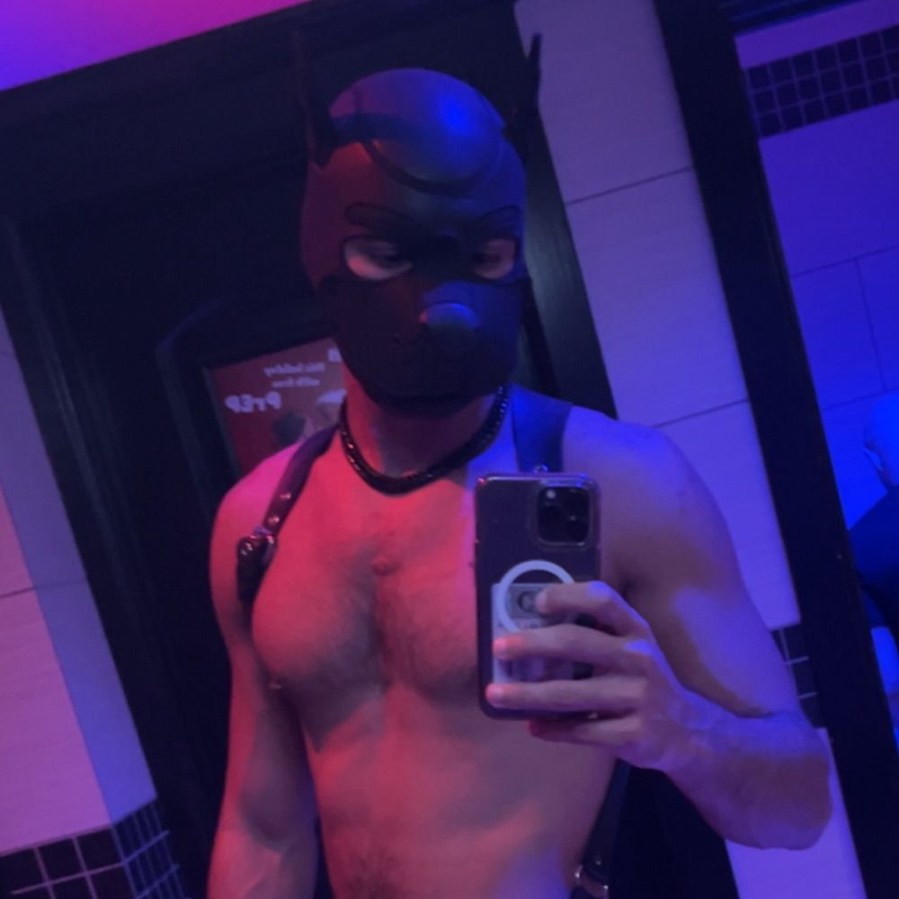 Himbo in Training