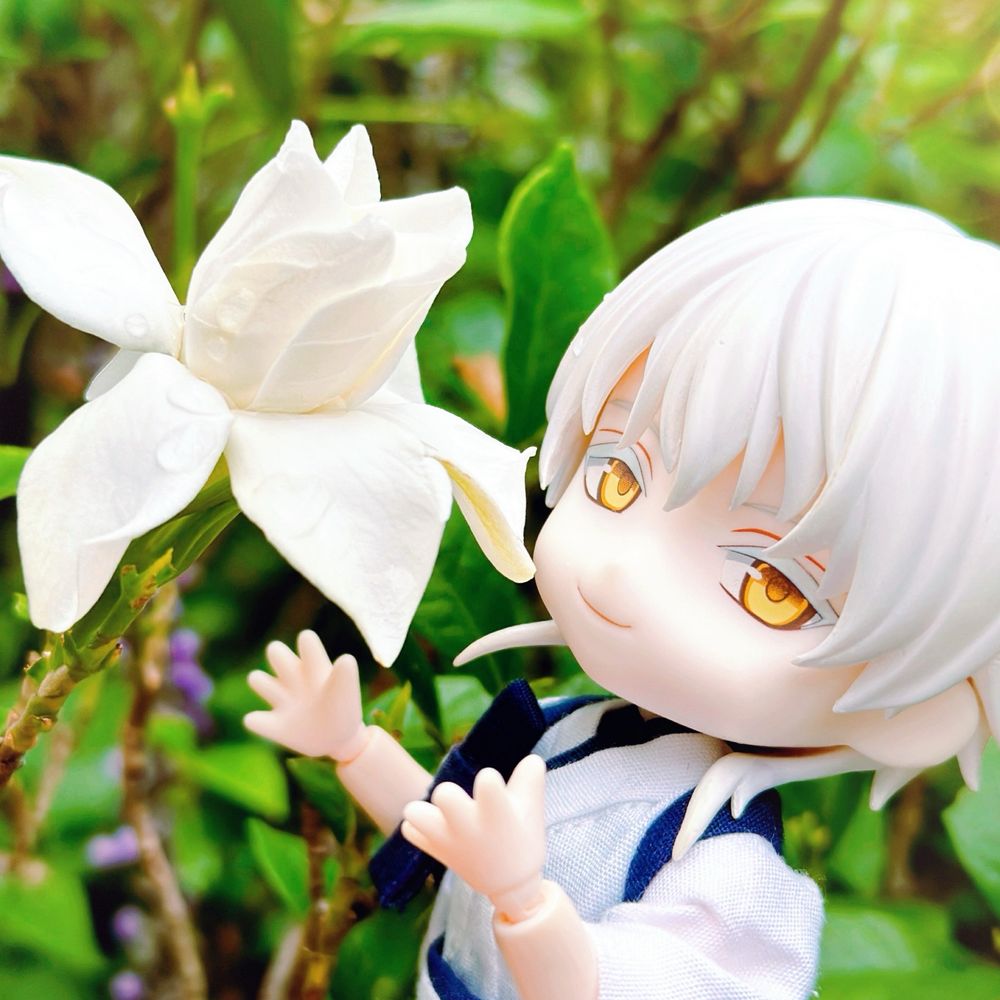 菫