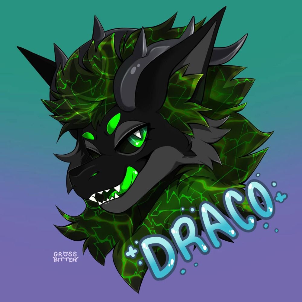 DracoBoyo