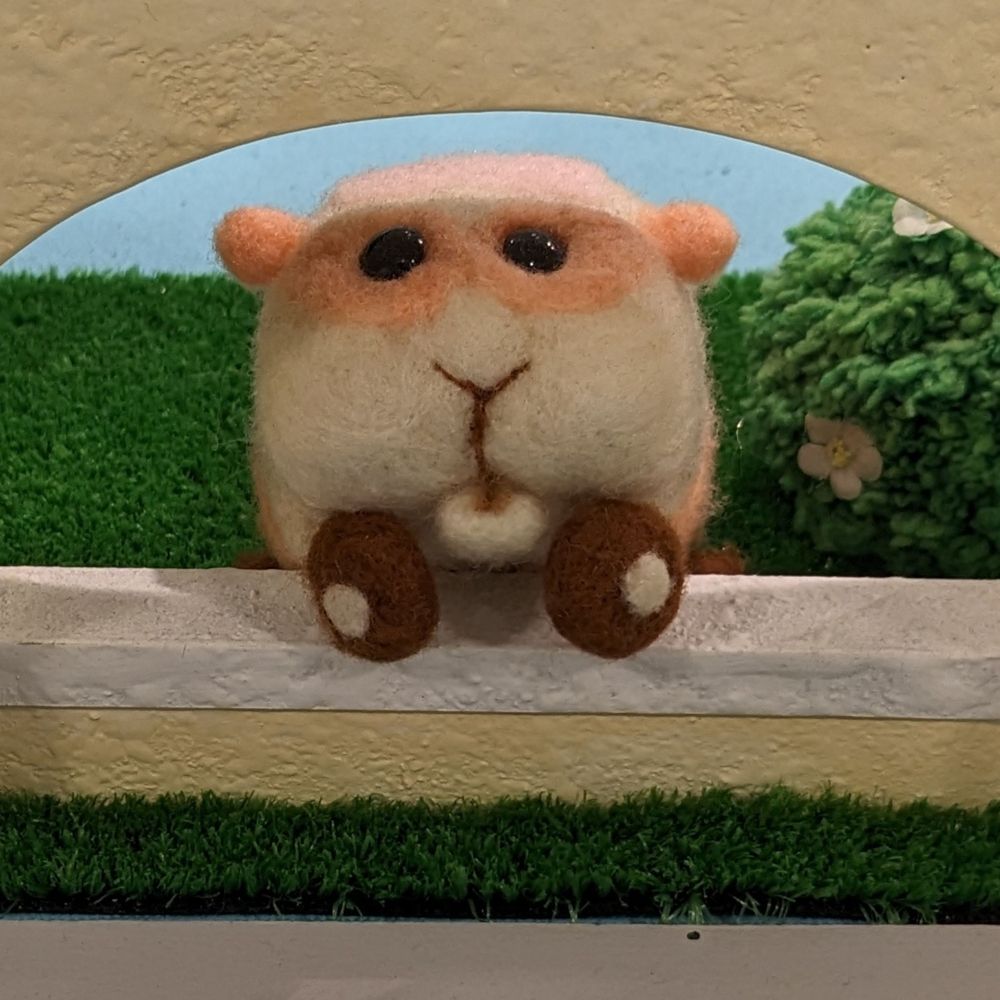 青空ぽんここ