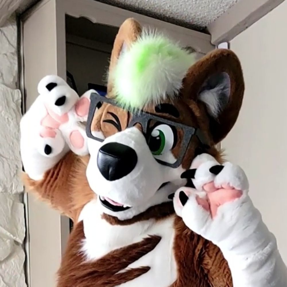 Koda the Bolf