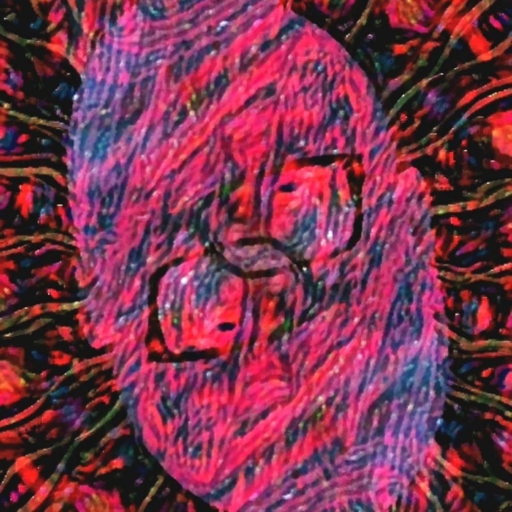 Steve Doom.