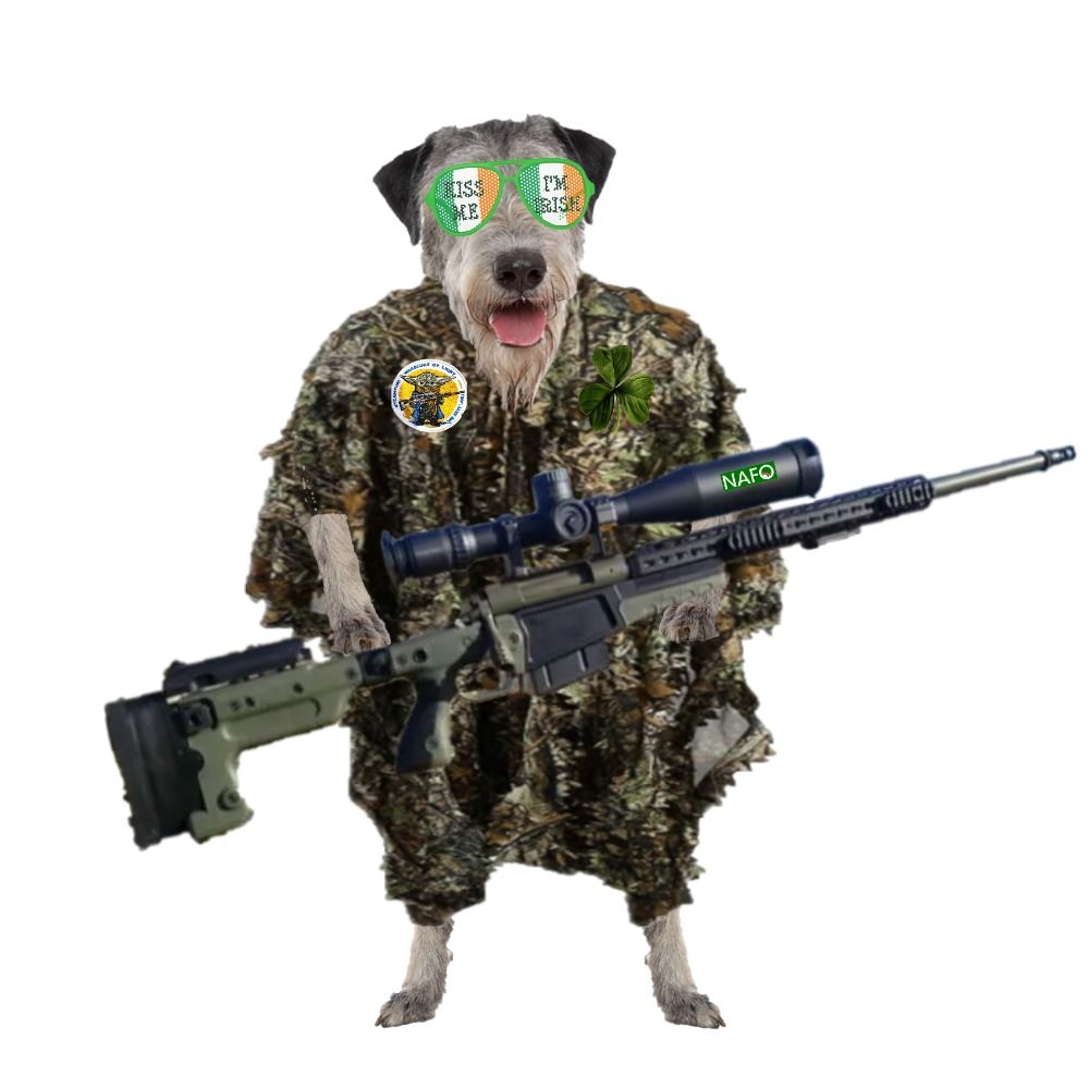 Wolfhound Fellá 🇮🇪🇪🇺🇺🇦🇺🇸🇬🇧's avatar