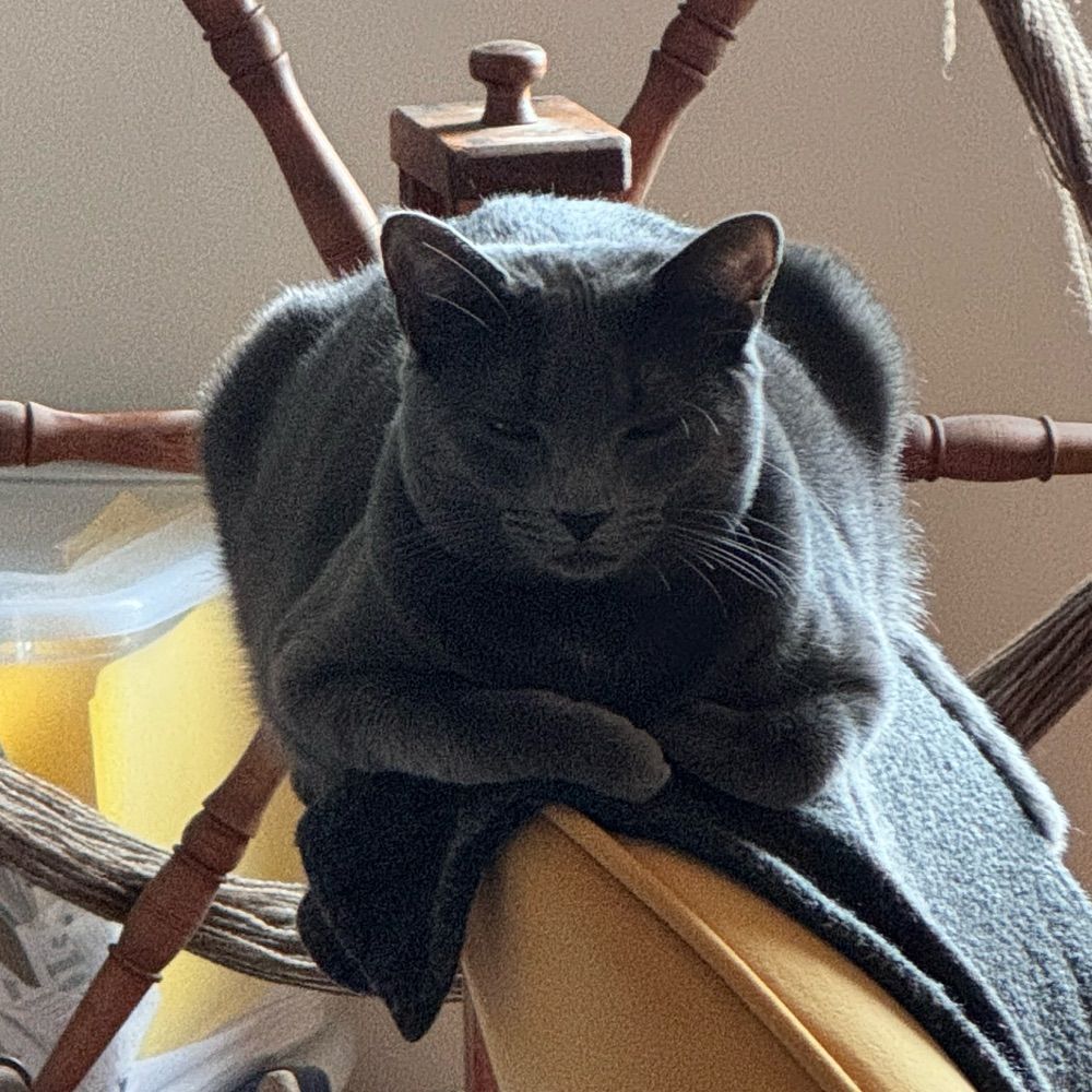 Julie