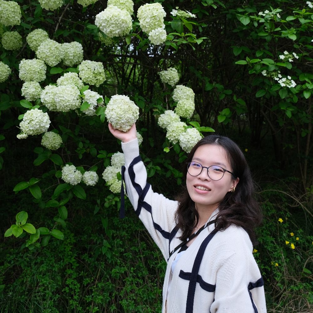 Yifan (Vivian) Yang