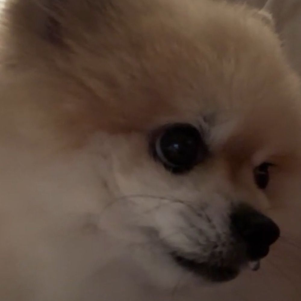 울이